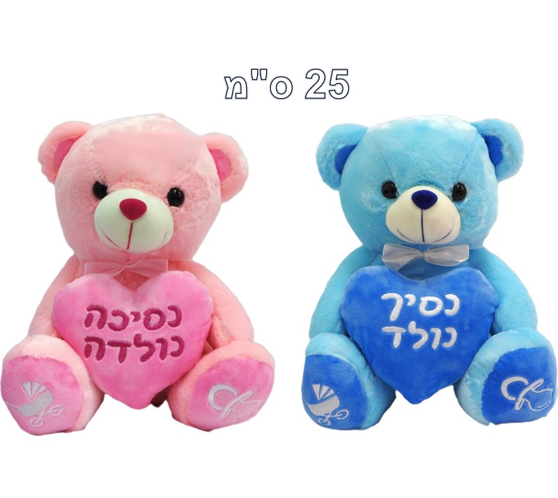 Blue & Pink Teddy Bear 25 cm – Prince & Princess