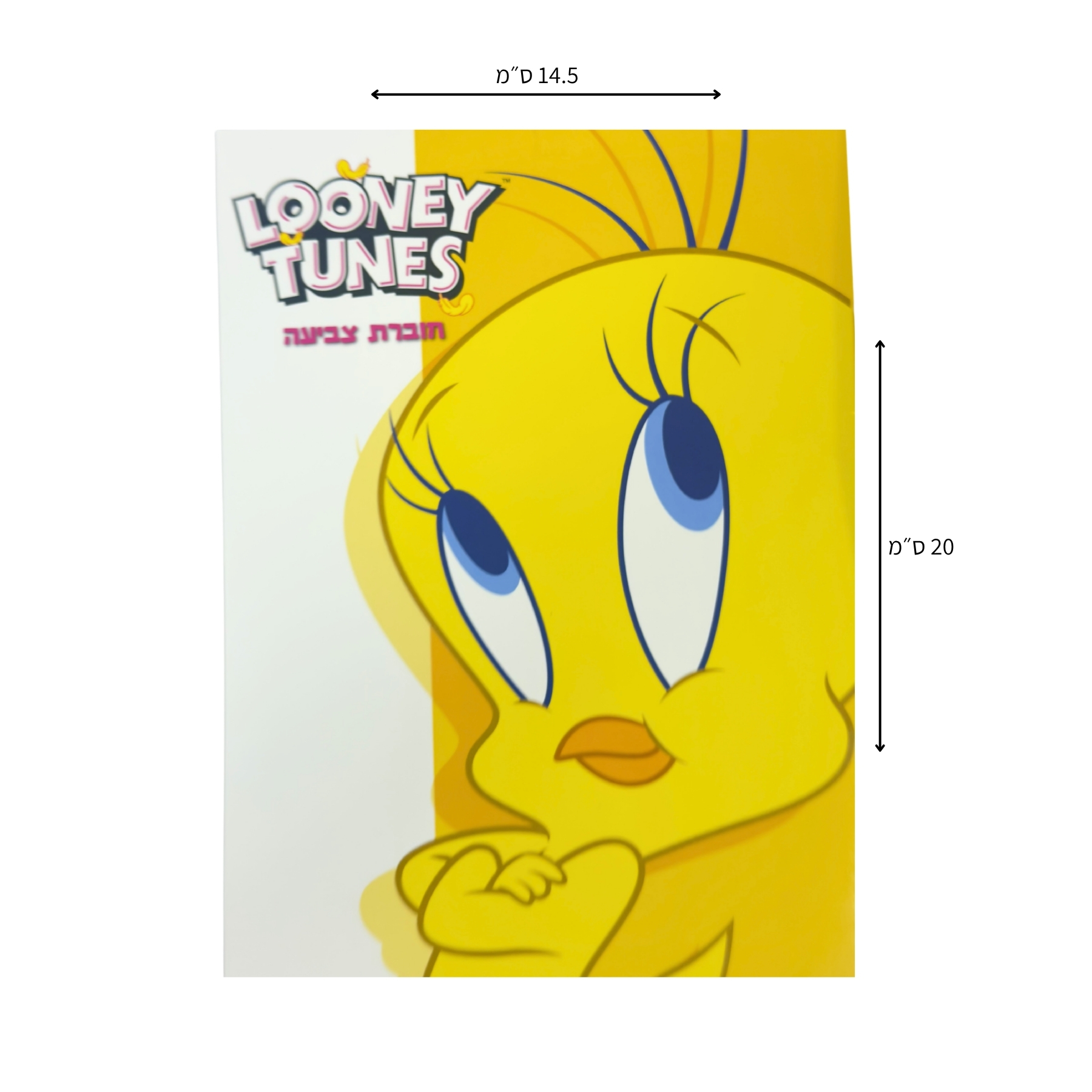 Tweety Colouring Book
