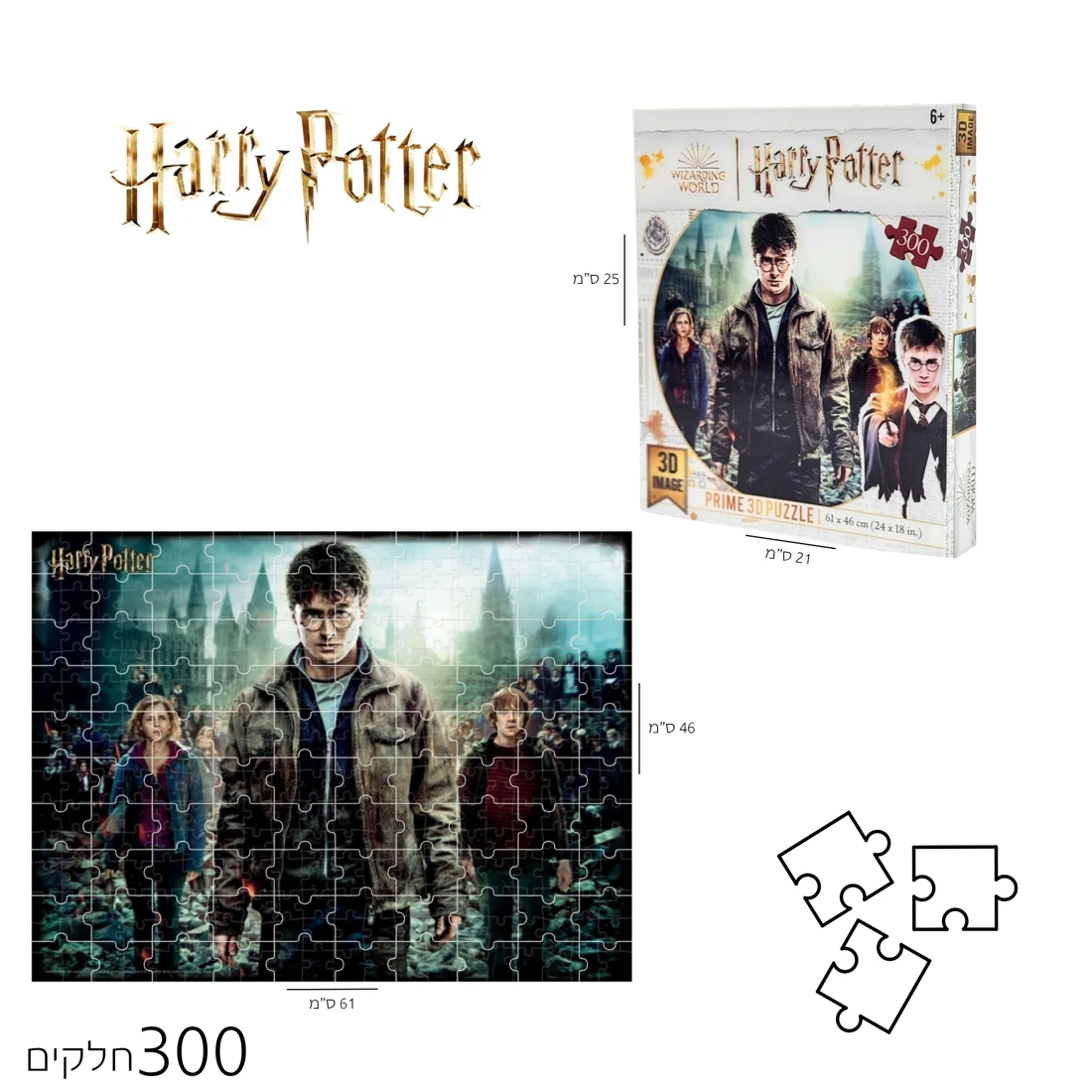 פאזל 3D הארי פוטר חברים 300 חלקים